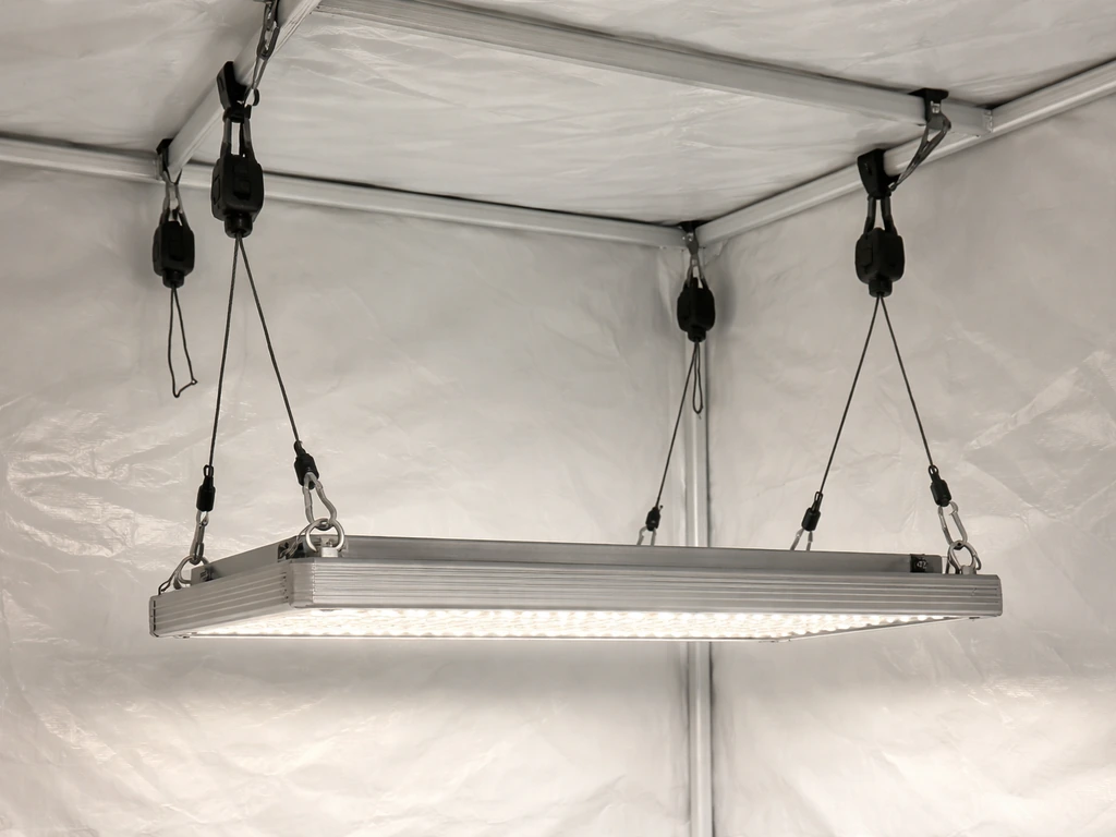 Grow tent light hanging from ceiling using steel cables and rope ratchets, correct height adjustment.